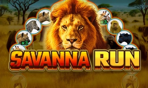 Savanna Run
