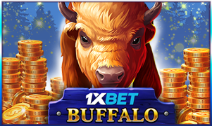 1xBuffalo
